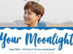 241g-Chen EXO Your Moonlight