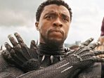 240a-Chadwick Boseman Black Panther