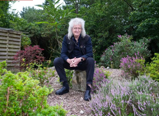 Brian May Stroke