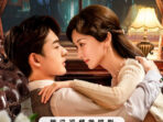 Drama China Assassin Lovers