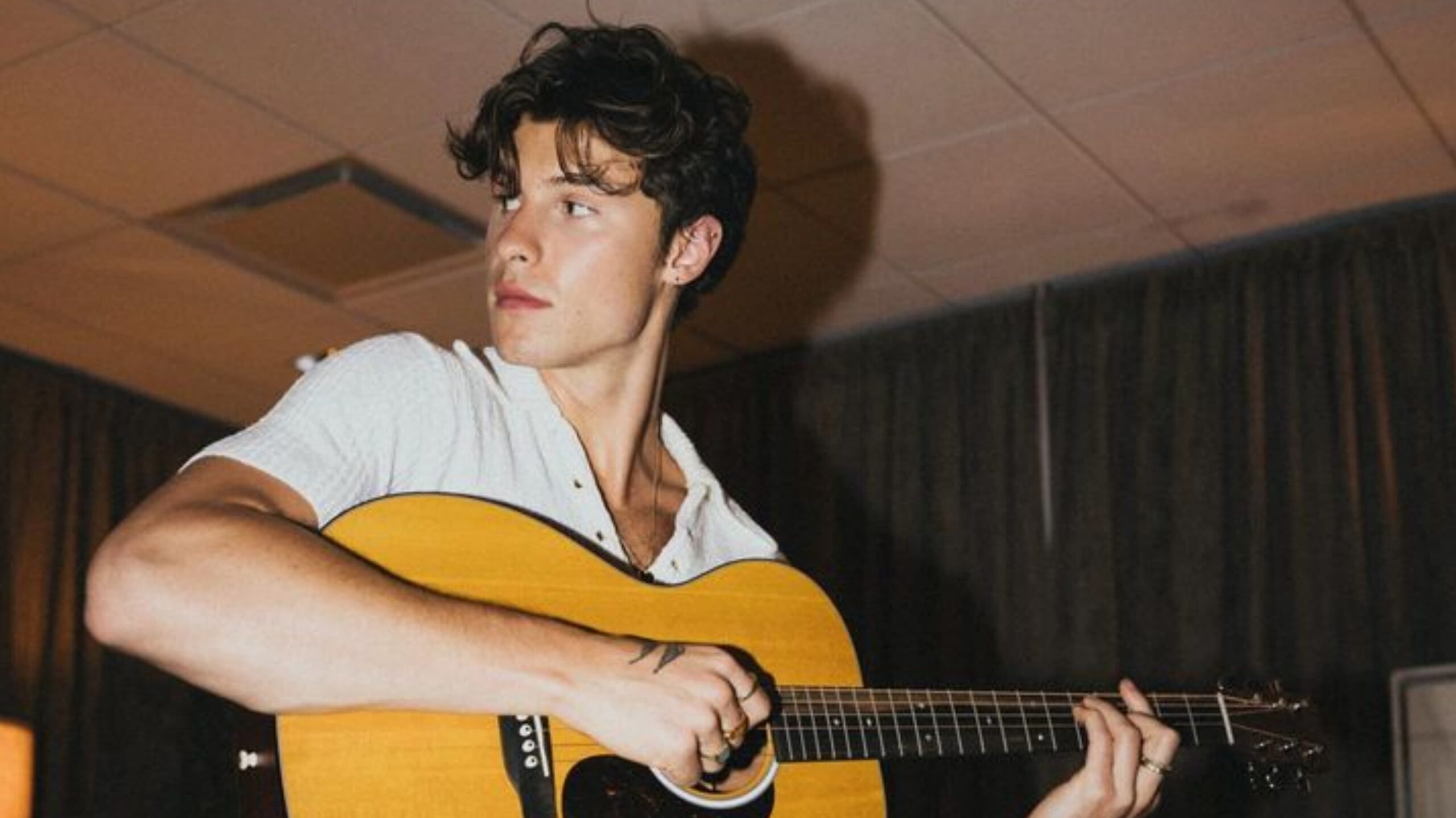 Shawn Mendes Akui Terganggu dengan Rumor Tentangnya dan Camila Cabello