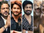 Shah Rukh Khan, Mahesh Babu, dan Arjun Das Bersatu Menjadi Pengisi Suara 'Mufasa: The Lion King'