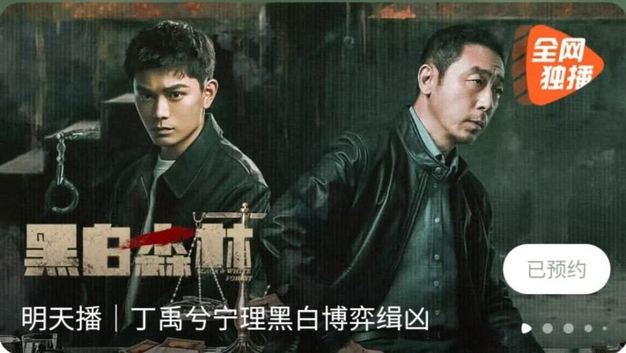 Sinopsis Drama China ‘Black and White Forest’, Kisah Ding Yu Xi sebagai Polisi