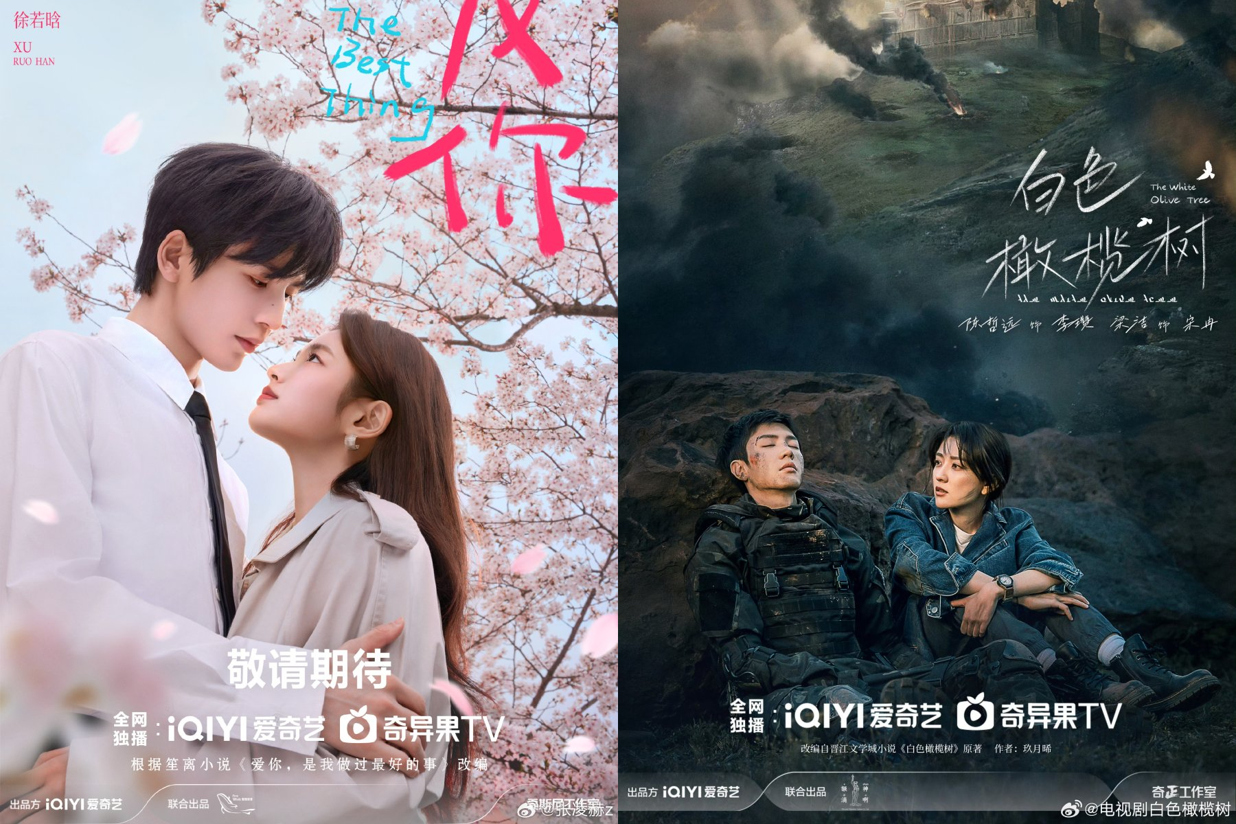 3 Drama China di iQiyi yang Tayang Februari 2025, Ada The White Olive Tree