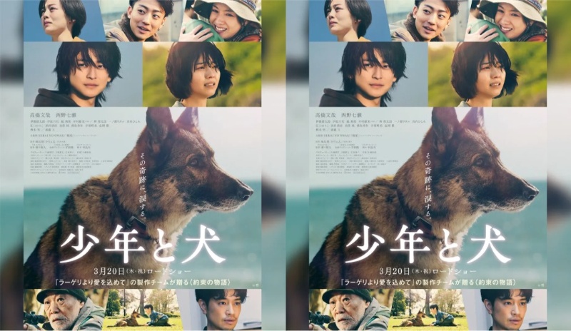 Film 'The Boy and the Dog', Kisah Anak Lelaki dan Anjing Pasca Gempa Bumi di Jepang